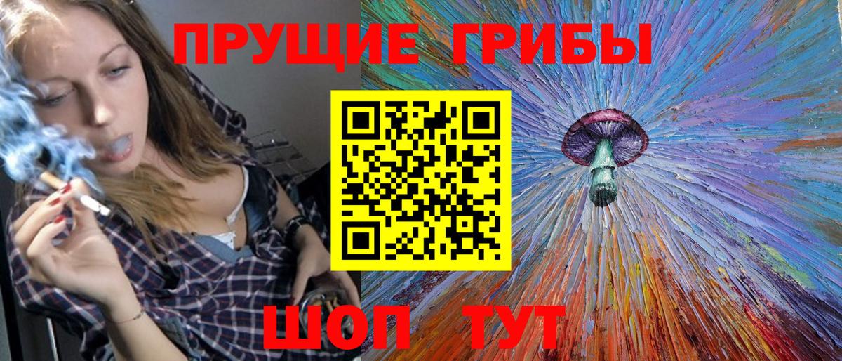 Псилоцибиновые грибы GOLDEN TEACHER Кизляр