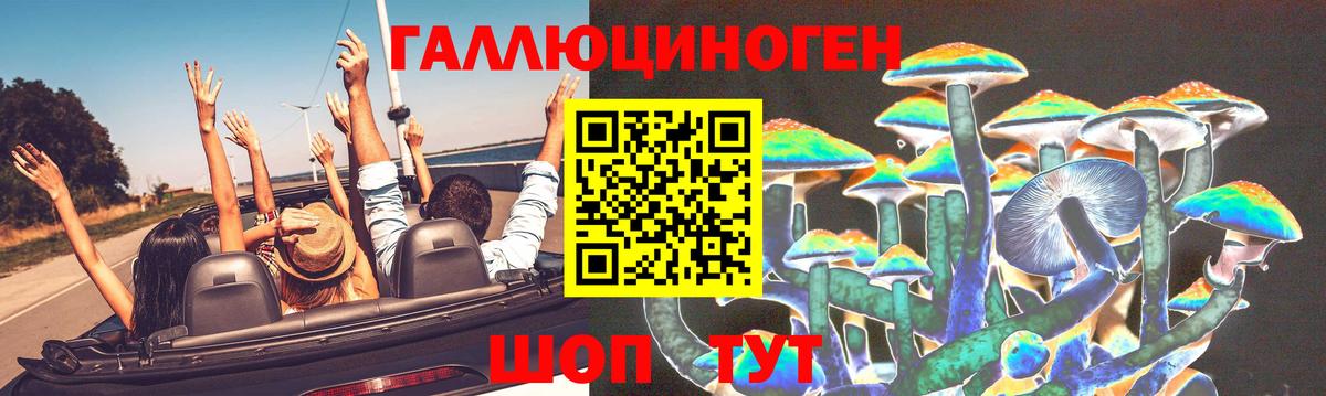 Псилоцибиновые грибы прущие грибы  Вход с VPN  Кизляр 
